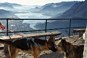 Anello del MONTE SAN MARTINO, sentinella della città di Lecco, l’11 gennaio 2020- FOTOGALLERY